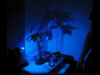 Plant Interaction - RGB LED response demo