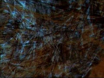 Morphogenesis - Narrated video